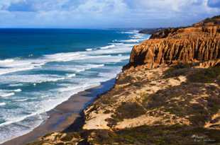 Torrey Pines coast-0266